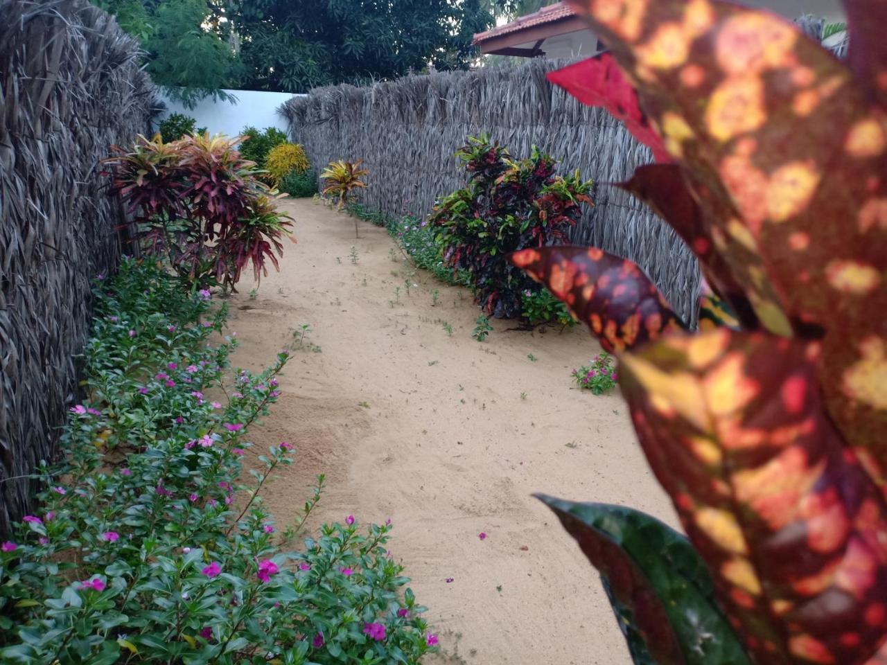 Sunset Safari & Resort 卡尔皮蒂耶 外观 照片